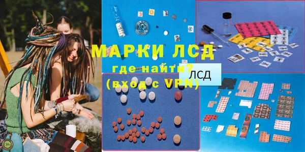 индика Почеп