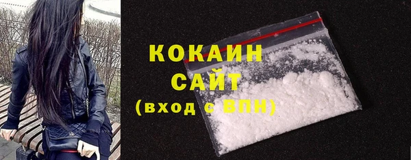 винт Няндома