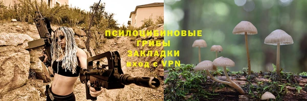 тгк Нязепетровск