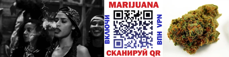 Бошки Шишки планчик  Руза 